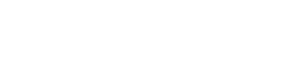 Logo: Dennis Rohde MdB